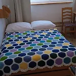 Alba 미에드지보드지